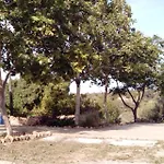 Monte Do Rio-pera