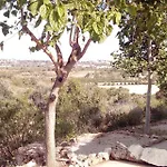 Monte Do Rio-pera *