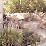 بيت للعطل Monte Do Rio-pera *