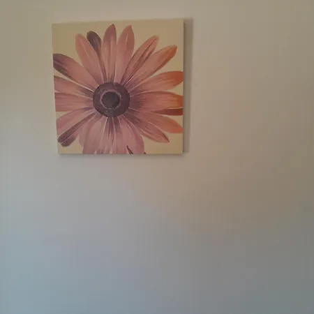 Ferienhaus Monte Do Rio-pera *