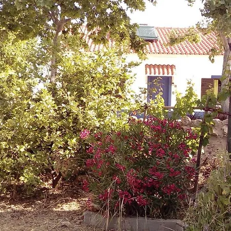 Holiday home Monte Do Rio-pera